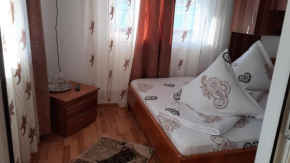 Гостиница Casa Nicoleta  Гура Хуморулуй